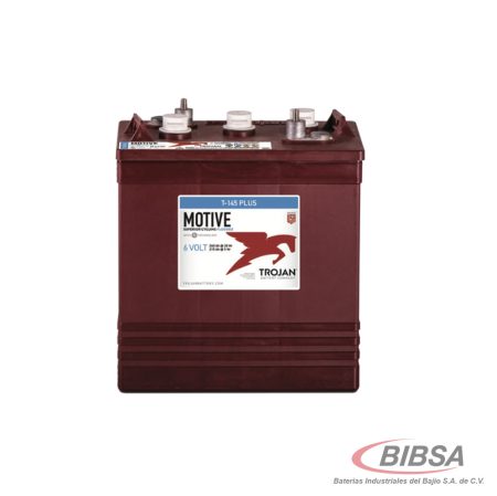 T-145 6V 260AH